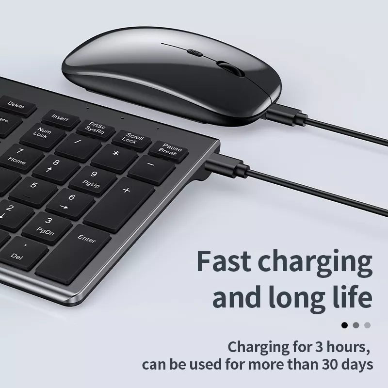 High quality 2.4G Bluetooth wireless rechargeable mouse keyboard combos - Deskology